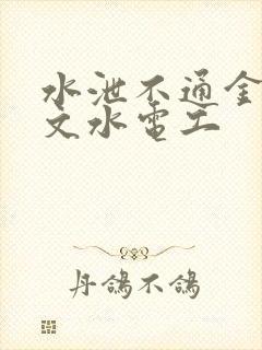 水泄不通金银原文水电工