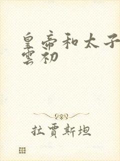 皇帝和太子妃h云初