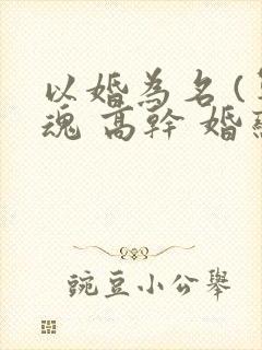 以婚为名 (军魂 高干 婚恋)