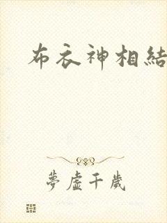 布衣神相结局封面