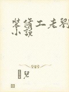 装修工老刘林雪小说