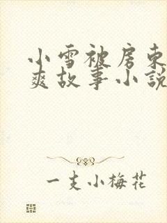 小雪被房东的好爽故事小说封面