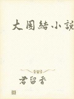 大团结小说全文