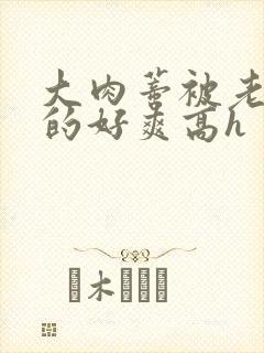 大肉蒂被老头嘬的好爽高h