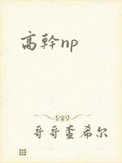 高干np