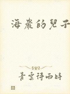 海岩的儿子封面