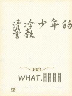 清冷少年的严厉管教