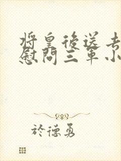 将皇后送去军营慰问三军小说封面