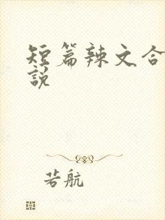 短篇辣文合集小说