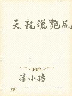 天龙猎艳风流