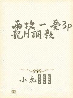 两攻一受3p双龙H调教