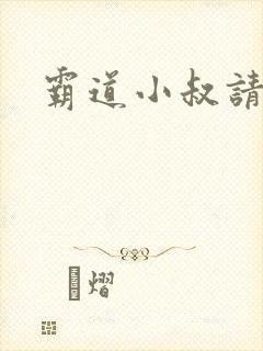 霸道小叔请轻撩封面