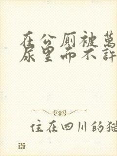 在公厕被万人c尿里面不许漏