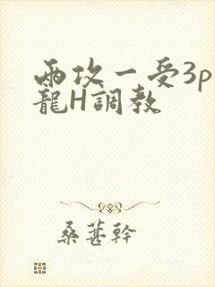 两攻一受3p双龙H调教