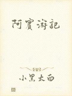 阿宾游记封面