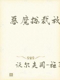 恶魔总裁放了我封面