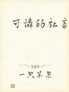 可怜的社畜小说