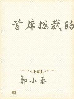 首席总裁的逃妻