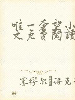 唯一奢望小说全文免费阅读