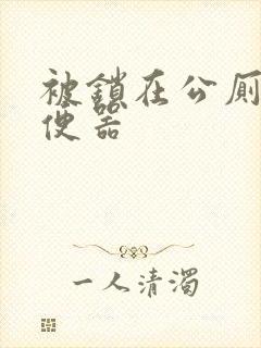 被锁在公厕当坐便器