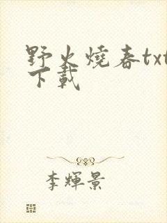 野火烧春txt下载