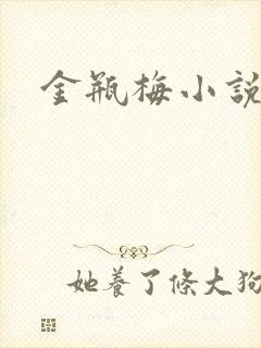 金瓶梅小说在线封面