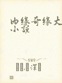 内缘奇缘大团圆小说