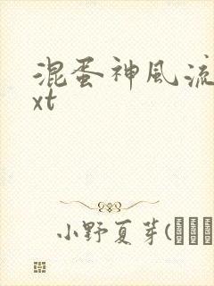 混蛋神风流史txt封面