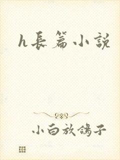 h长篇小说