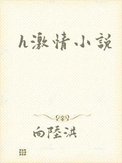 h激情小说封面