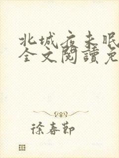 北城夜未眠小说全文阅读免费