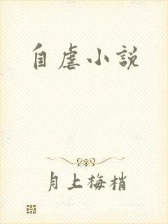 自虐小说封面