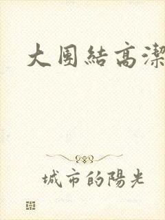 大团结高洁封面