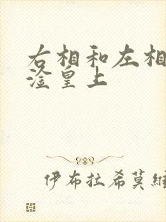 右相和左相一起淦皇上
