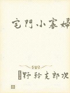 宅门小寡妇封面