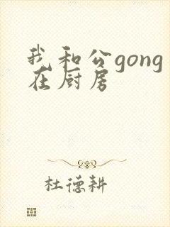 我和公gong在厨房