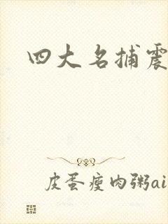 四大名捕震关东