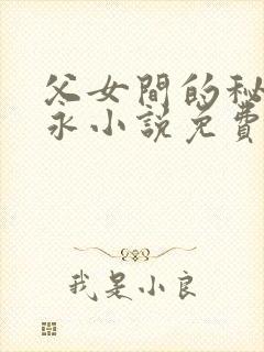 父女间的秘密赵永小说免费阅读封面