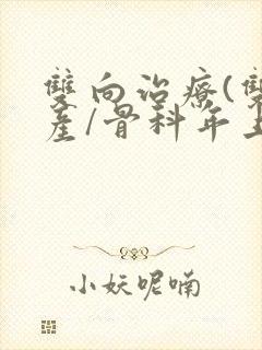 双向治疗(双/产/骨科年上)封面