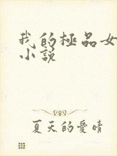 我的极品女老师小说