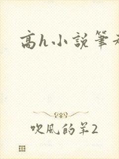 高h小说笔趣阁封面