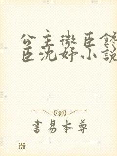 公主微臣馋了微臣沈妤小说