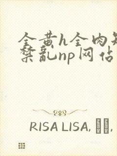 全黄h全肉短篇禁乱np网站