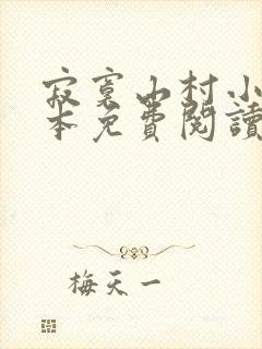 寂寞山村小说全本免费阅读封面