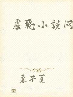 卢飞小说网