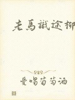 老马识途柳娇娇