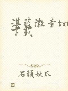 湛蓝徽章txt下载