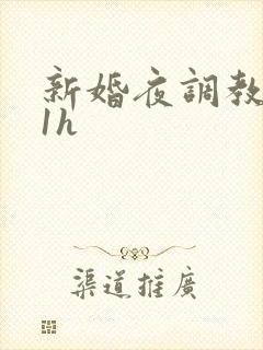 新婚夜调教1v1h