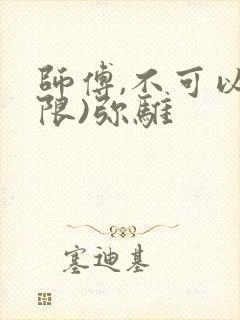 师傅,不可以(限)弥骓封面