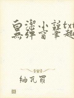 白洁小说txt无弹窗笔趣阁